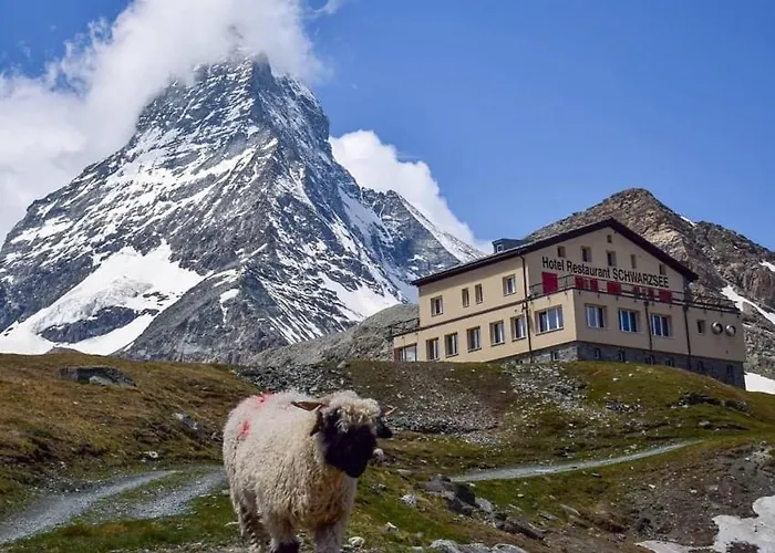 施瓦尔茨湖酒店 2*